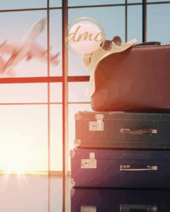 Luggage in front of a window